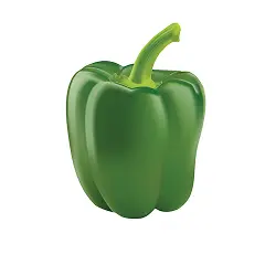 capsicum